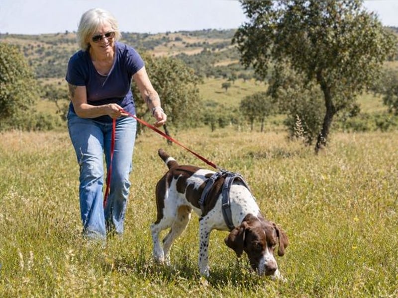 Scout – bereit für Abenteuer