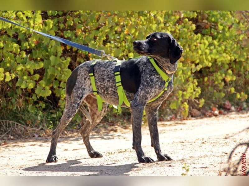 Angela sucht sportliche Familie