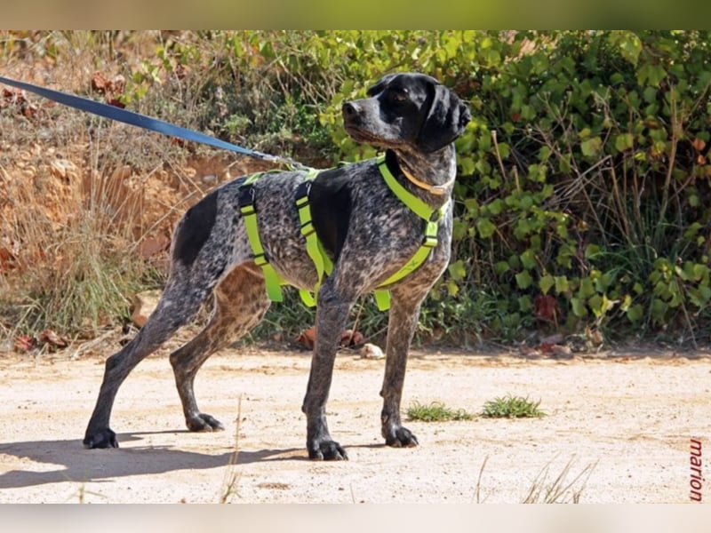 Angela sucht sportliche Familie