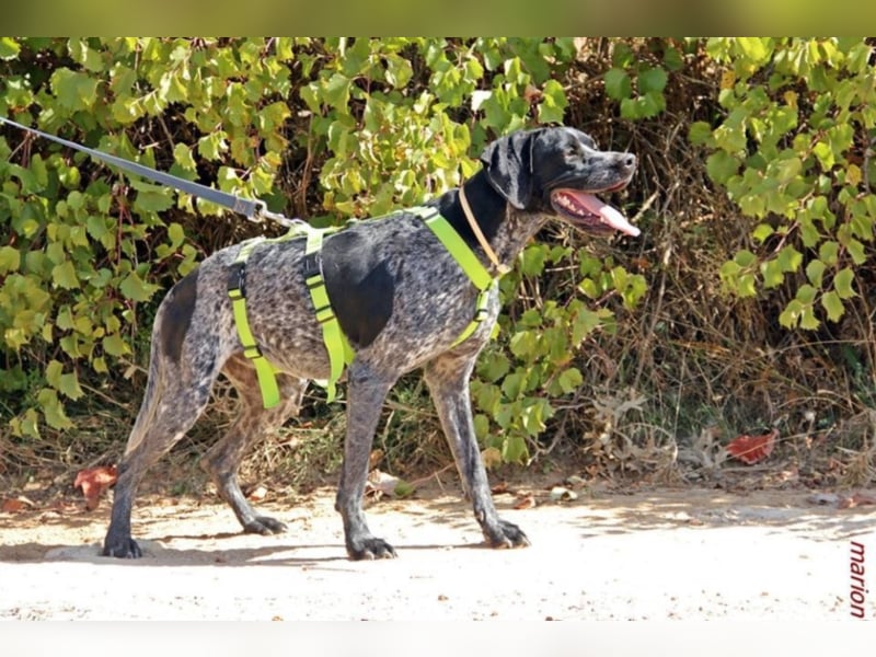 Angela sucht sportliche Familie