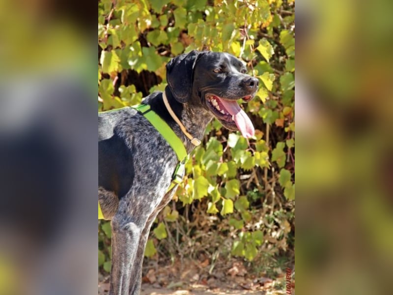 Angela sucht sportliche Familie