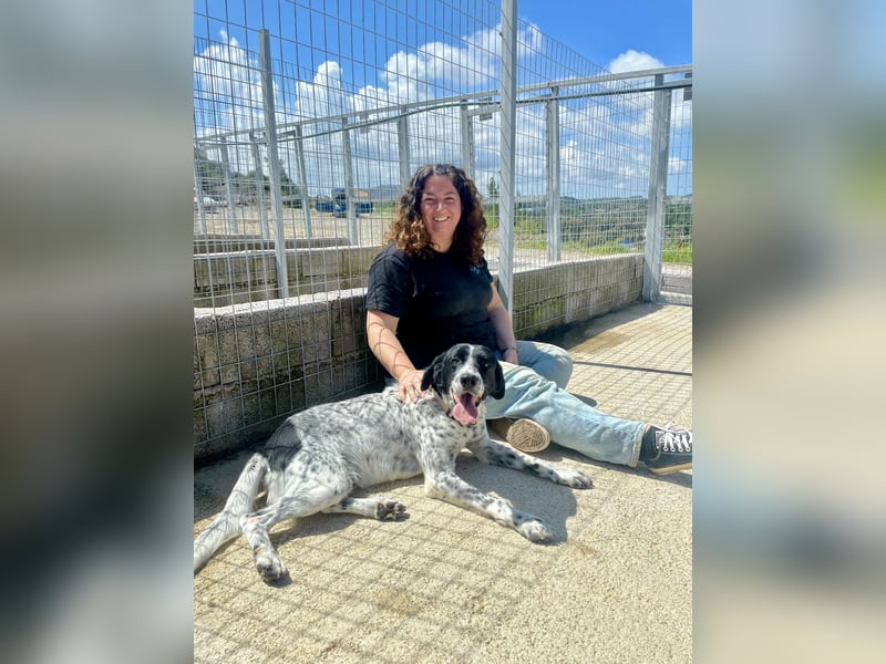 Aktiver und schmusiger Jungrüde RAVI sucht eine Familie!