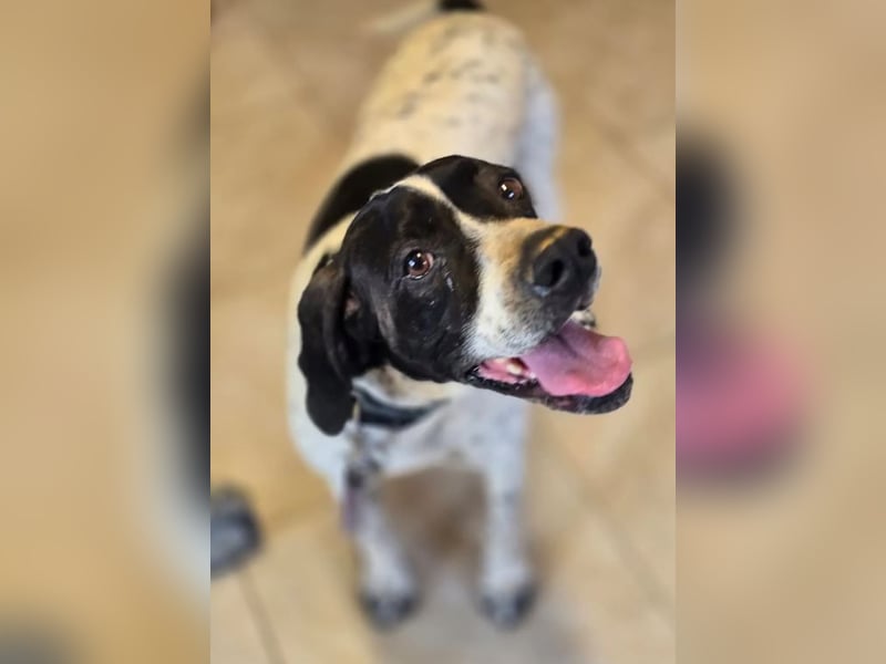 Alegra – bereit für Abenteuer ❤️