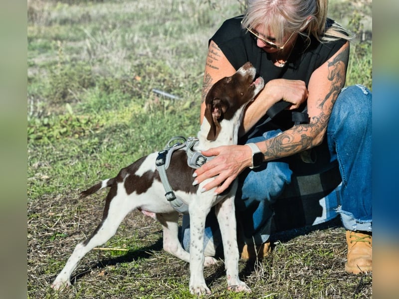 Scout – bereit für Abenteuer
