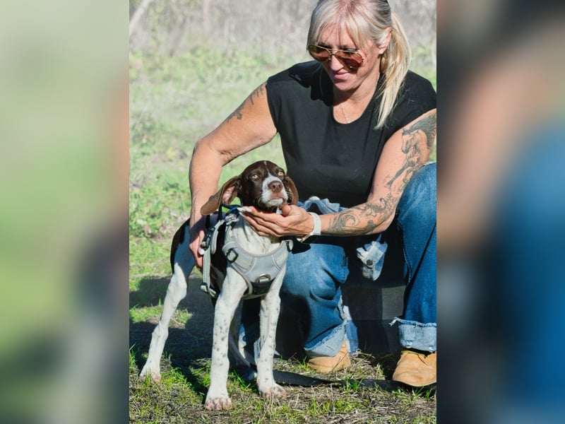 Scout – bereit für Abenteuer