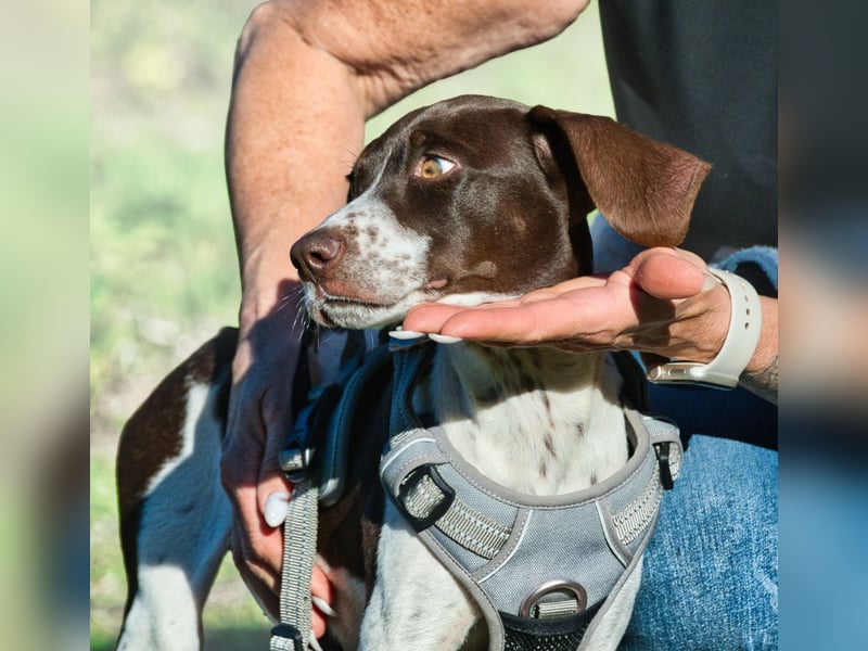Scout – bereit für Abenteuer