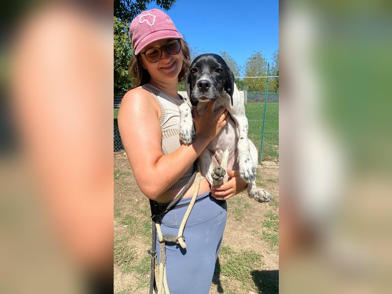 Arno - Zarte Seele sucht ein Zuhause