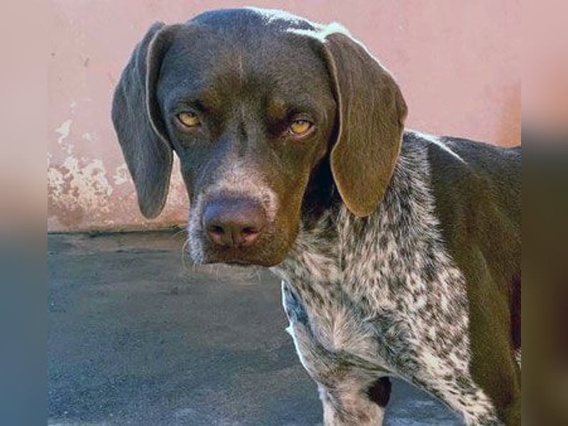 NIKA das Schockomädchen