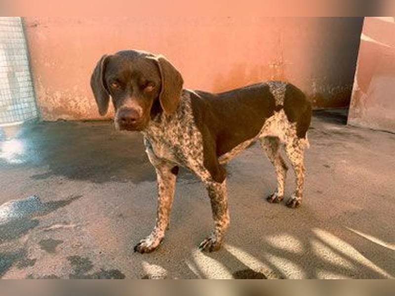 NIKA das Schockomädchen