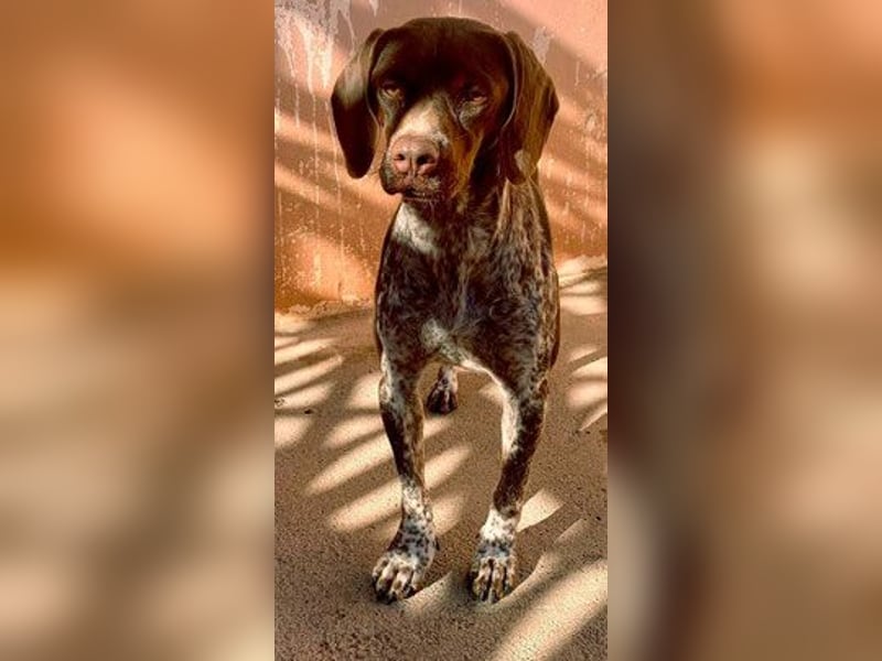 NIKA das Schockomädchen