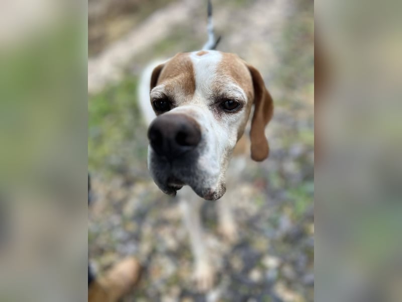 Matilda - sanft und anschmiegsam