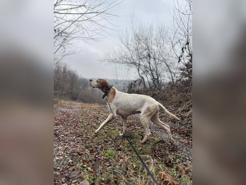 Matilda - sanft und anschmiegsam