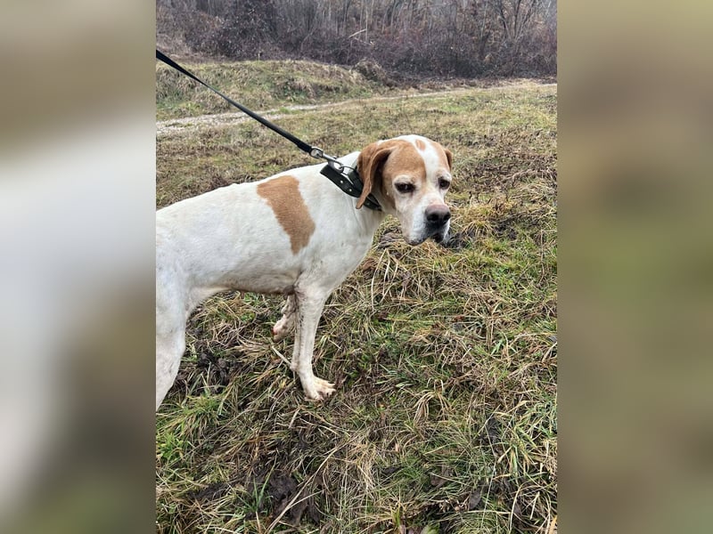 Matilda - sanft und anschmiegsam