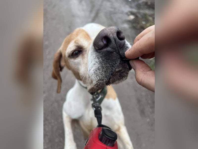 Matilda - sanft und anschmiegsam