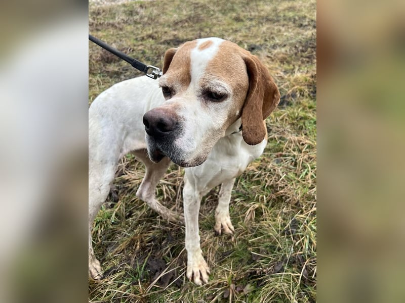 Matilda - sanft und anschmiegsam