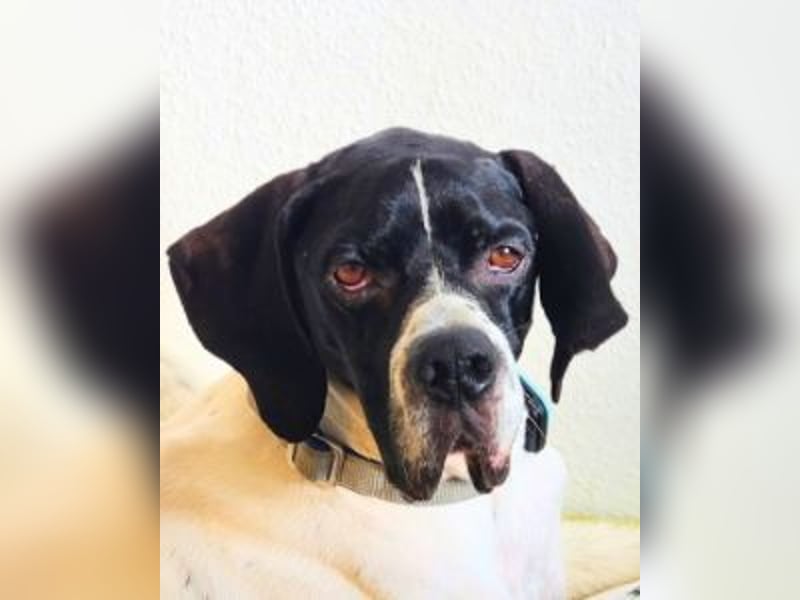 Dalton - Zeit endlich zur Ruhe zu kommen