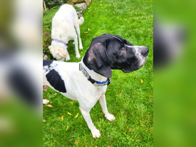 Dalton - Zeit endlich zur Ruhe zu kommen