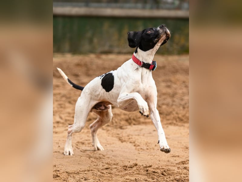 Dalton - Zeit endlich zur Ruhe zu kommen