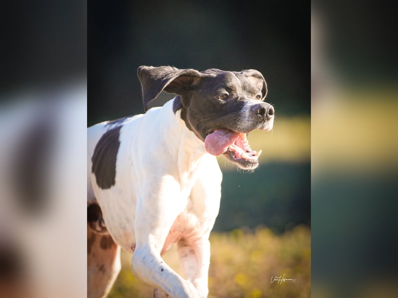 Dalton - Zeit endlich zur Ruhe zu kommen
