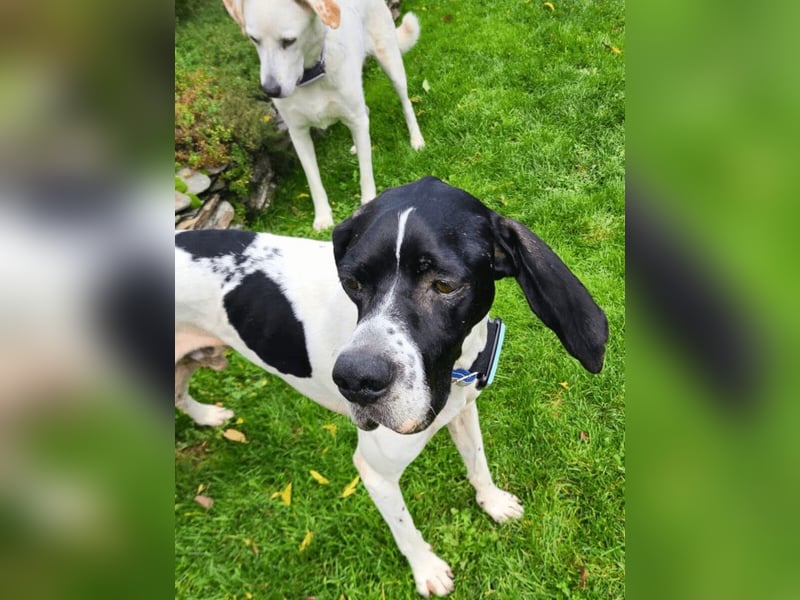 Dalton - Zeit endlich zur Ruhe zu kommen