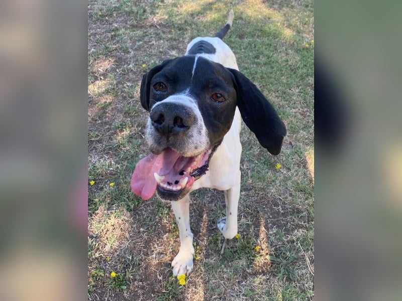 Dalton - Zeit endlich zur Ruhe zu kommen