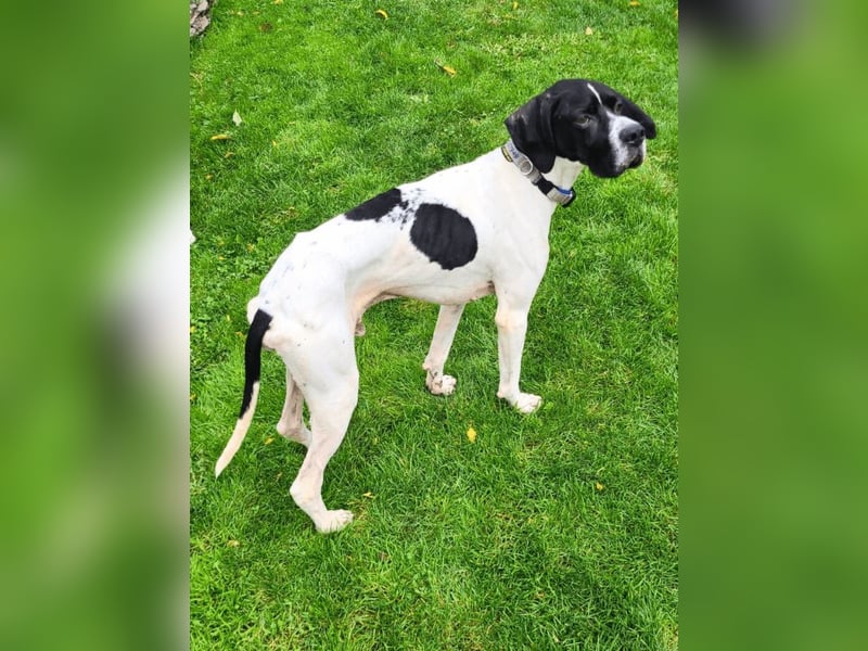 Dalton - Zeit endlich zur Ruhe zu kommen