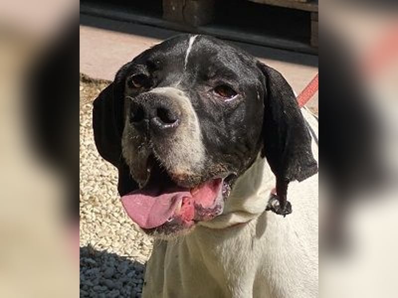 Dalton - Zeit endlich zur Ruhe zu kommen