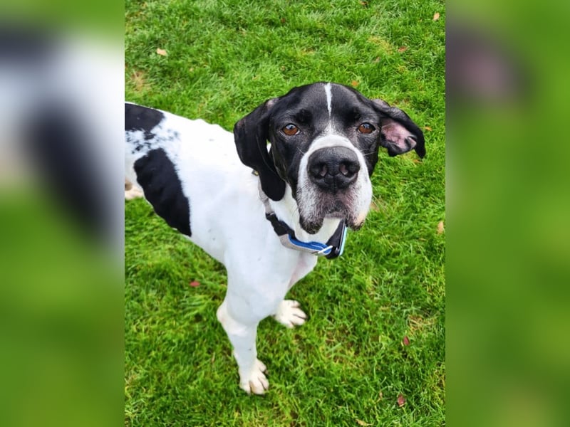 Dalton - Zeit endlich zur Ruhe zu kommen