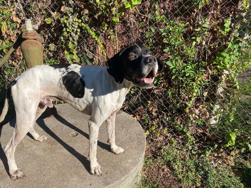 Dalton - Zeit endlich zur Ruhe zu kommen