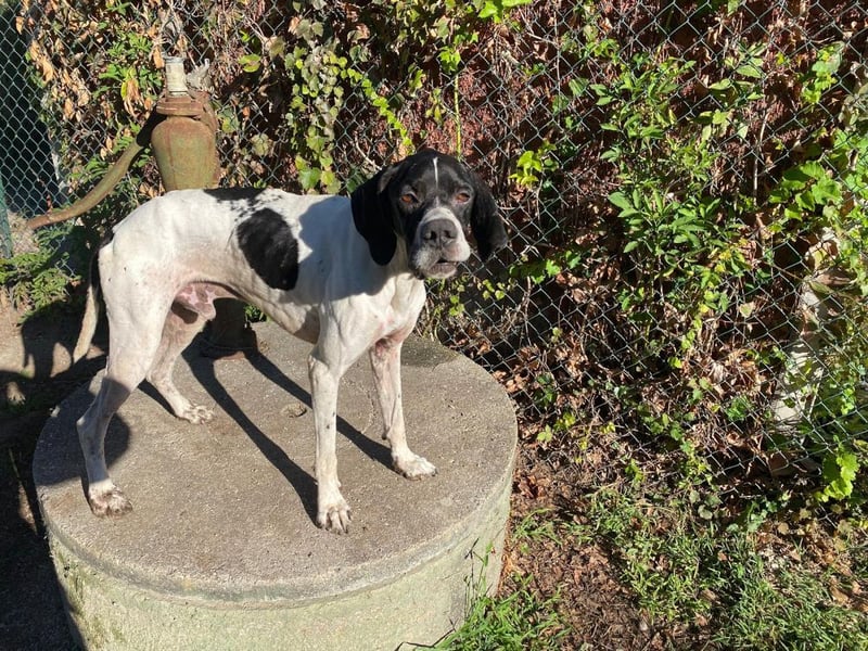 Dalton - Zeit endlich zur Ruhe zu kommen