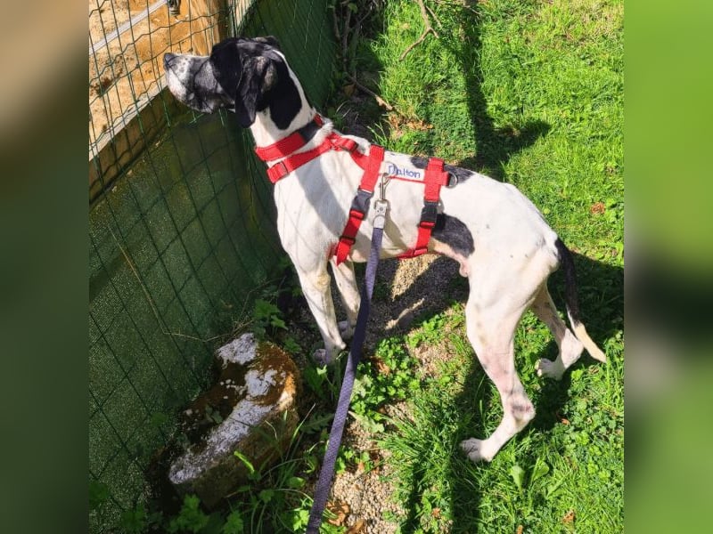 Dalton - Zeit endlich zur Ruhe zu kommen