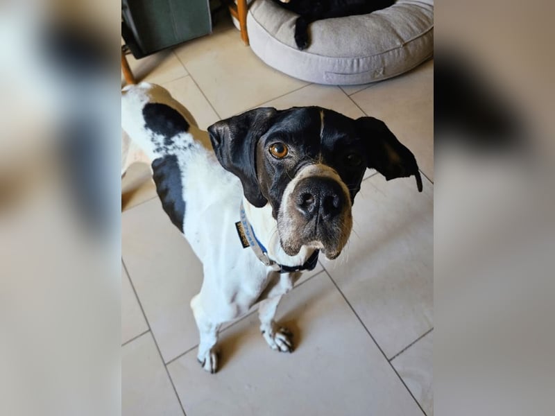 Dalton - Zeit endlich zur Ruhe zu kommen