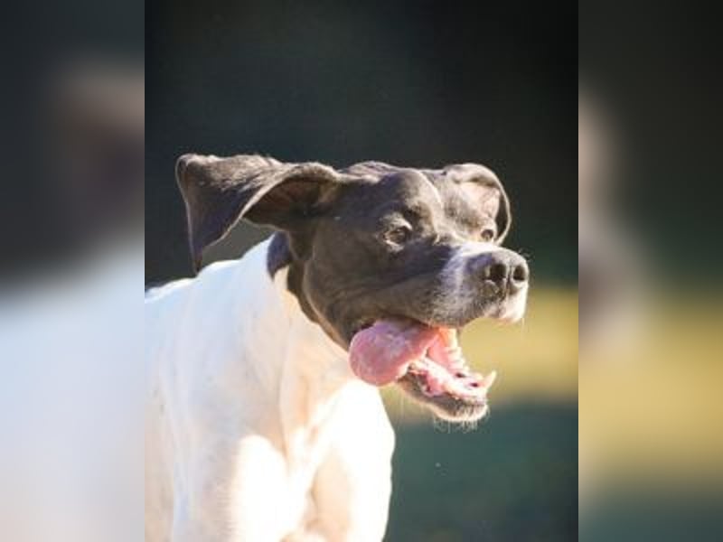 Dalton - Zeit endlich zur Ruhe zu kommen