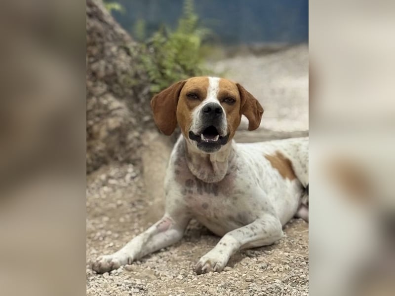 Cooper, hofft auf eine Chance