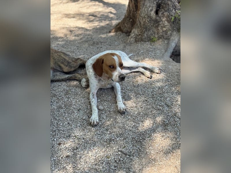 Cooper, hofft auf eine Chance