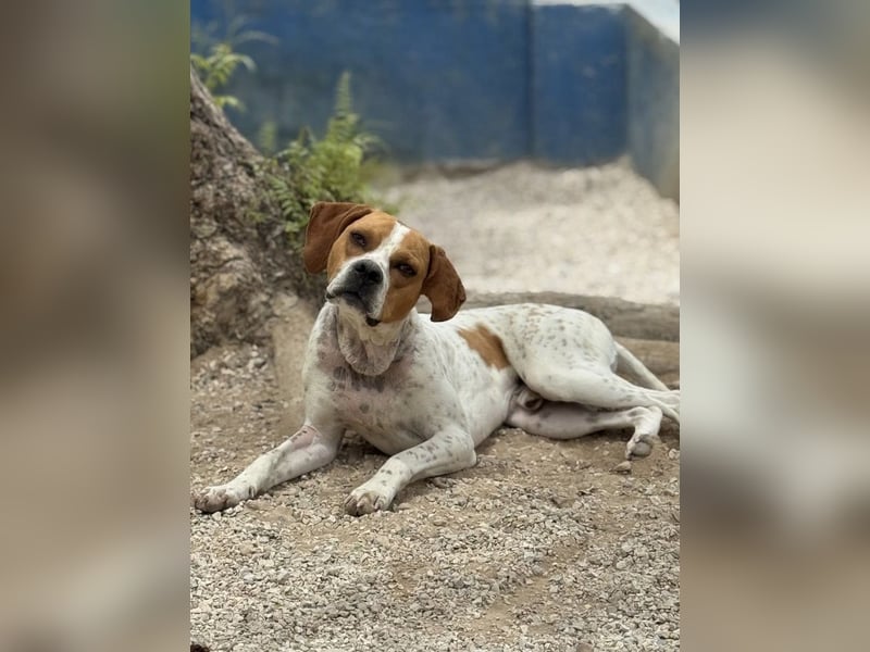 Cooper, hofft auf eine Chance