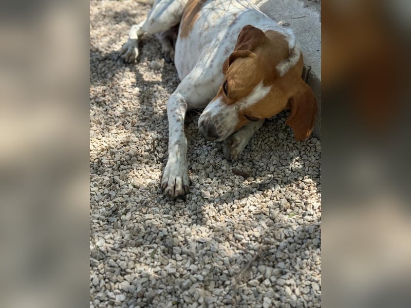 Cooper, hofft auf eine Chance