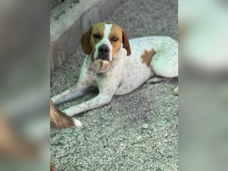 Cooper, hofft auf eine Chance