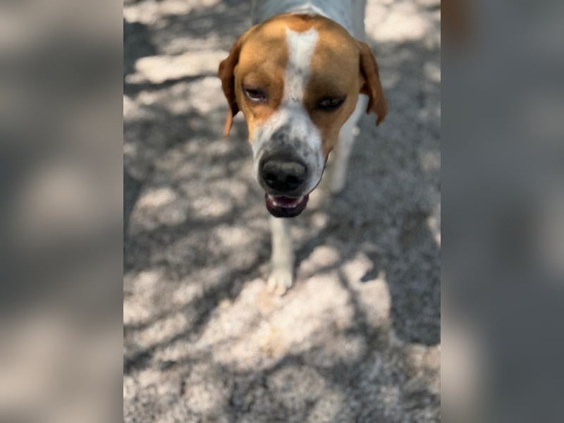 Cooper, hofft auf eine Chance