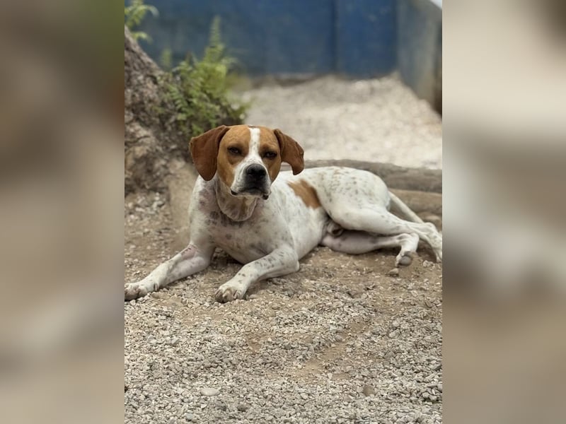 Cooper, hofft auf eine Chance