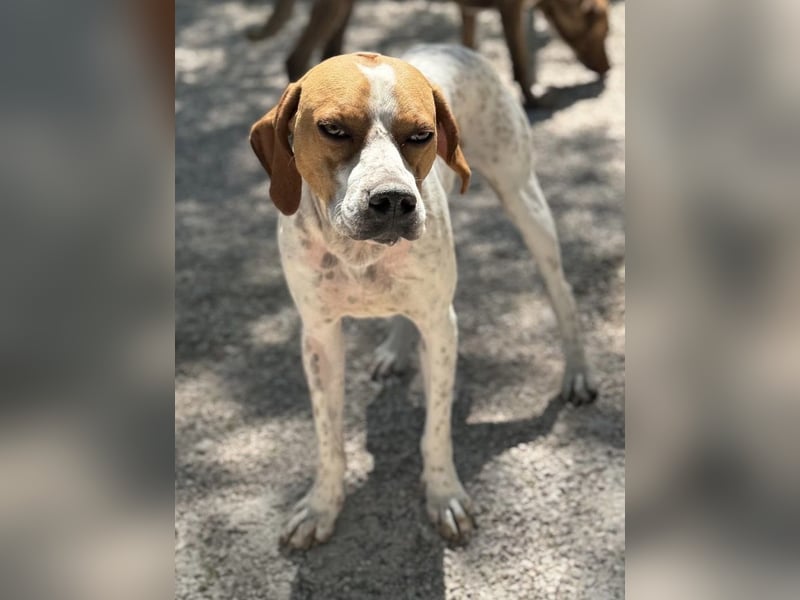 Cooper, hofft auf eine Chance