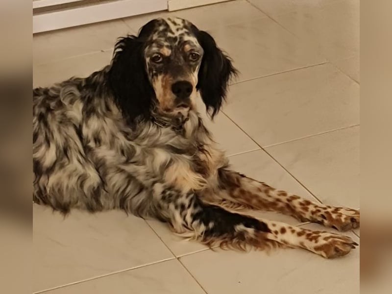 Astrid - hat schon mal geübt