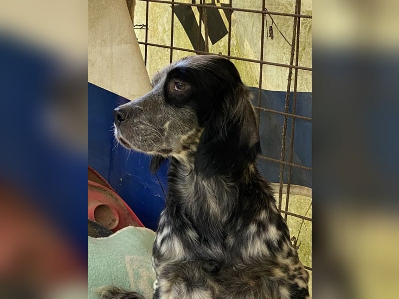 Helvetia - Angst beginnt im Kopf ? Mut auch!