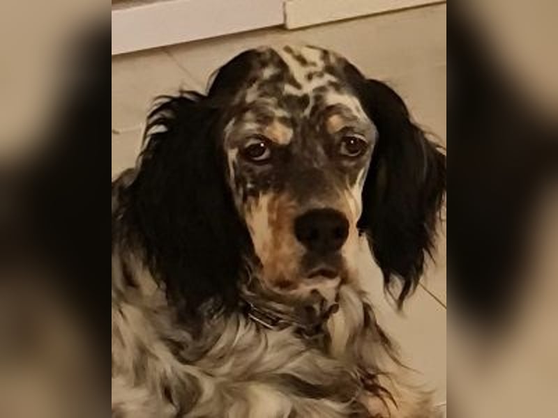 Astrid - hat schon mal geübt