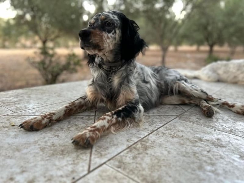 Astrid - hat schon mal geübt