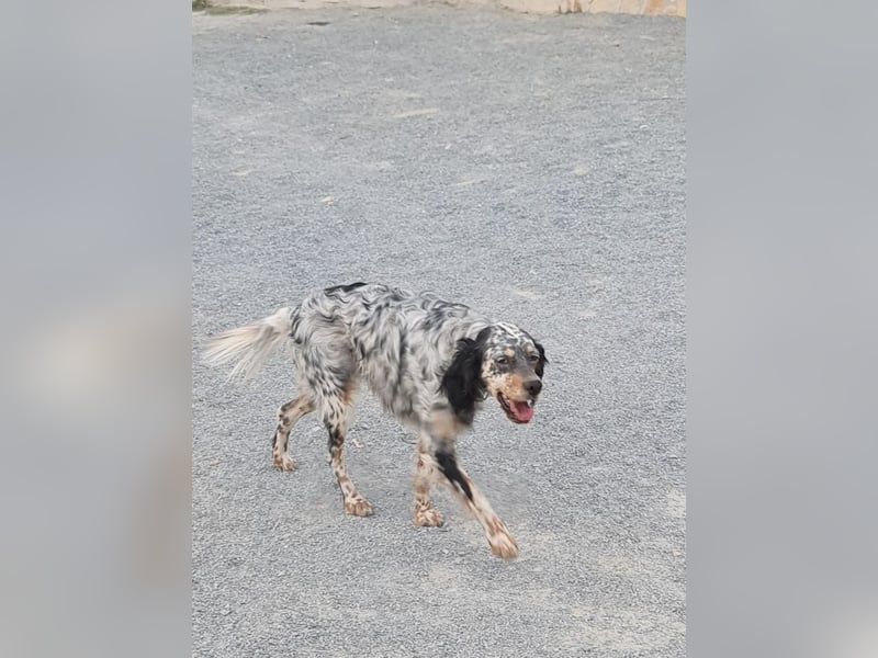 Astrid - hat schon mal geübt