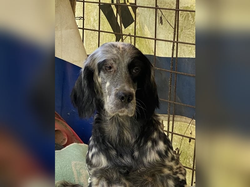 Helvetia - Angst beginnt im Kopf ? Mut auch!