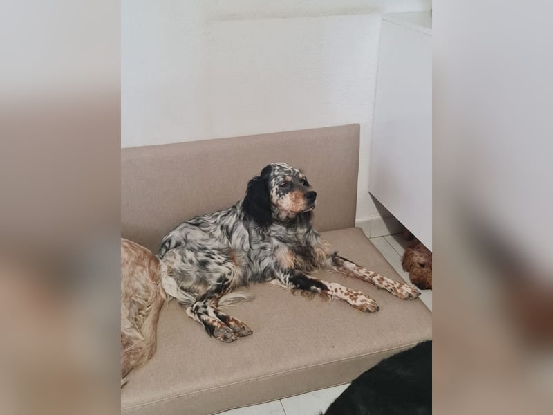 Astrid - hat schon mal geübt