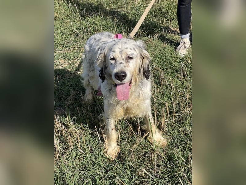 Marte - ...SOS - möchte eine Band gründen