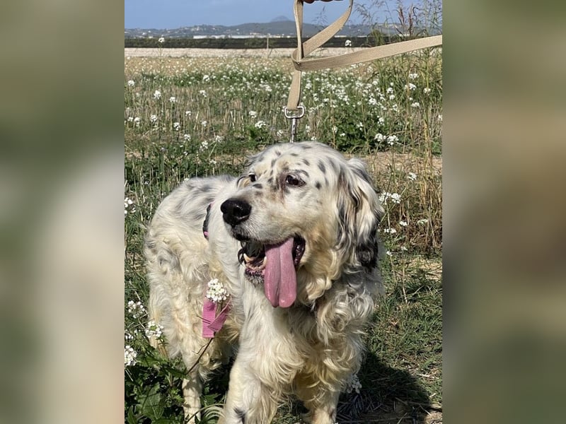 Marte - ...SOS - möchte eine Band gründen